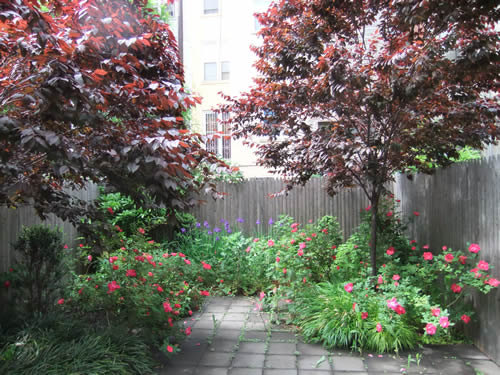 NEw York garden backyard